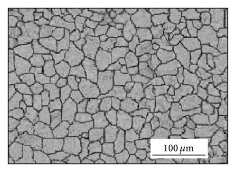 Optical Micrographs Of Microstructures Of AISI 316L Austenitic