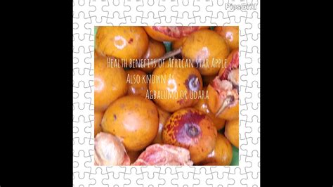 health benefits of africa star apple also known as agbalumo or udara youtube