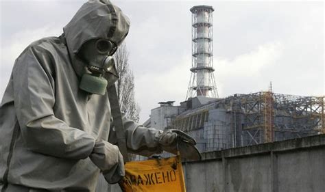 Chernobyl Radioactive Boars Still Active In Germany As Wildlife