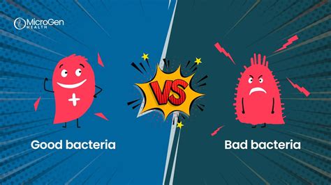 Good Bacteria Vs Bad Bacteria Microgen Health Youtube