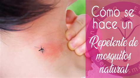Cómo Se Hace Un Repelente De Mosquitos Instituto De Dermocosmética