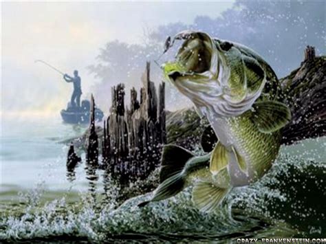 Bass Fishing Wallpaper Hd Wallpapersafari