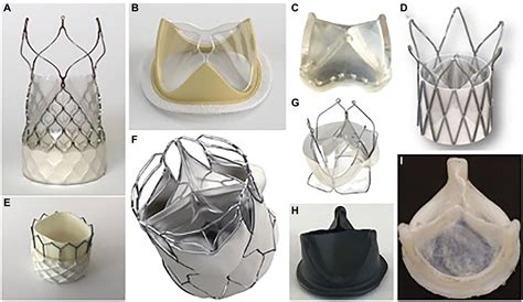 Frontiers Polymeric Prosthetic Heart Valves A Review Of Current