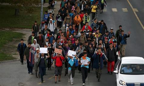 „refugees Stuck In Serbia Begin Marching Towards Hungarian Border“ Archivffm Online