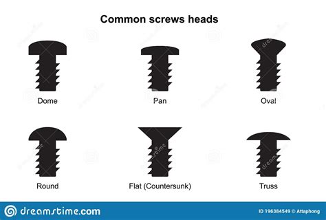 Common Screws Heads Types Of Slots Bolt Heads The Head Stock Vector
