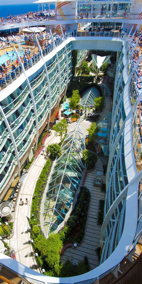 Exceptional Cruise Ship Celebrity Infinity detail is readily available