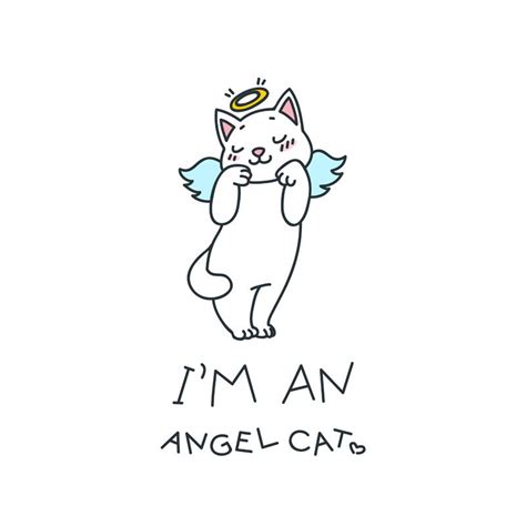 Wings Drawing Angel Drawing Cat Drawing Gato Angel Angel Cat White