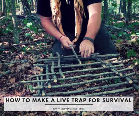 How To Make A Live Trap For Survival Survival How To Make Traps