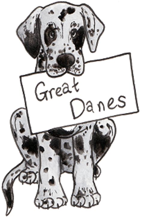 You might also like these coloring pages: Great Danes In-depth breeding case study