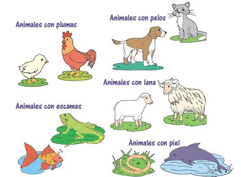 Animales que respiran por la piel ejemplos para colorear. Los animales y sus coberturas - Escolar - ABC Color
