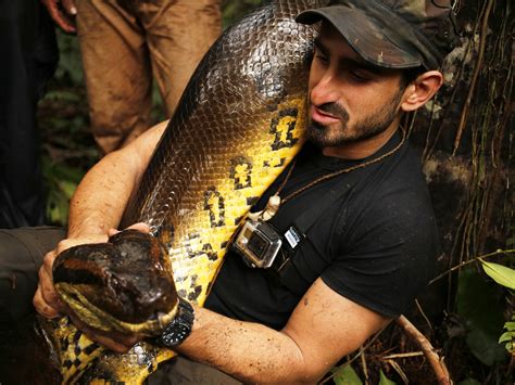 Anaconda Man Interview What Its Actually Like To Nearly Get Eaten