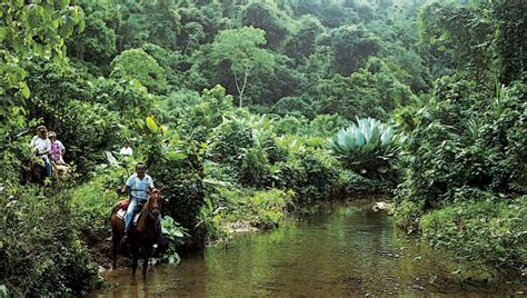 Mayan Jungle Ride - A video tour of Belize - Equitours