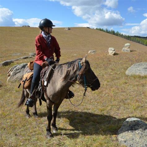 Gorkhi Terelj National Park Horse Riding Tour And Expedition Horses