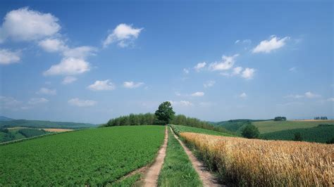 1920x1080 1920x1080 Field Sky Clouds Trees Hills Road