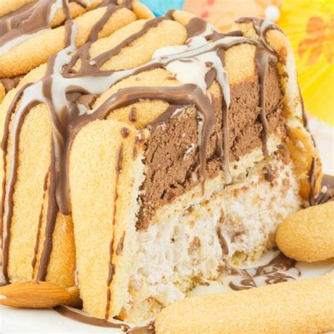 2/3 cups (150 ml) pastry flour · 3 tbsp (45 ml) unsweetened cocoa powder · 1/4 tsp (1 ml) cream of tartar · 4 large eggs · 3/4 cup (175 ml) granulated sugar · 1 tsp . Ice Cream Cake With Ladyfingers Recipe
