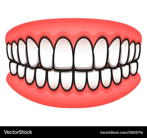 teeth design isolated drawing royalty free vector image