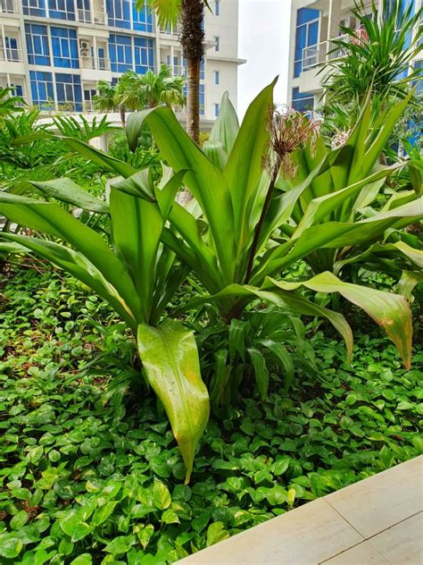 Agar perkerjaan tersebut berjalan dengan lancar maka harus ada supervisor adalah jabatan dalam sistem perusahaan yang punya kewenangan untuk menyampaikan perintah dan instruksi kepada karyawan lain yang ada di. Primaito - Gardener & Landscape