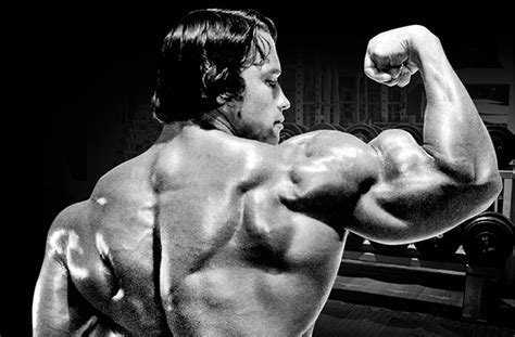 Arms Like Arnold Schwarzenegger Muscle Insider