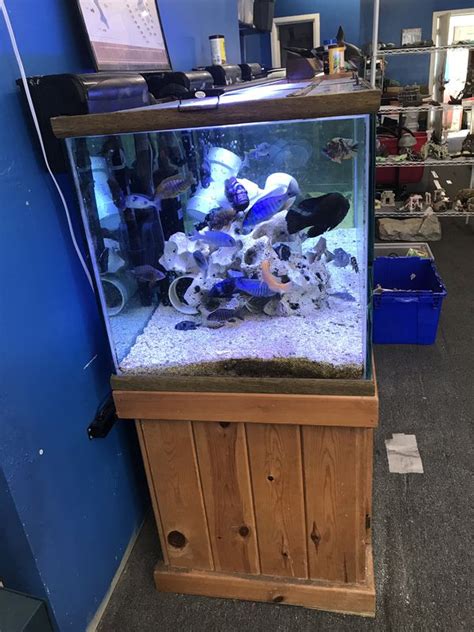 120 Gallon Oceanic Aquarium Fish Tank Complete Set Up 800 For Sale In