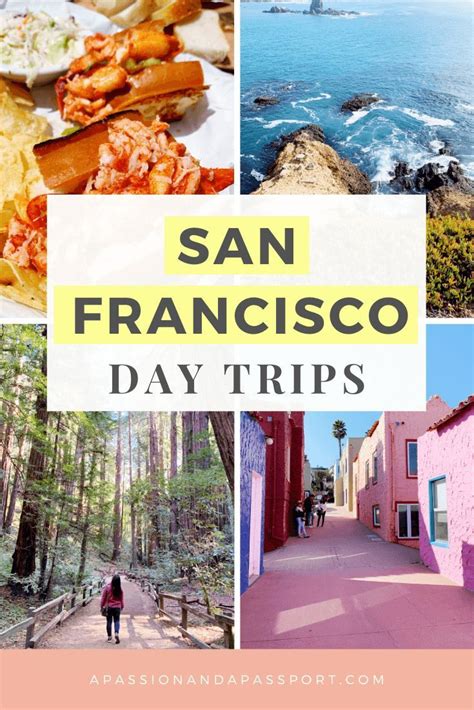 The San Francisco Day Trips Are Great For Families And Their Families