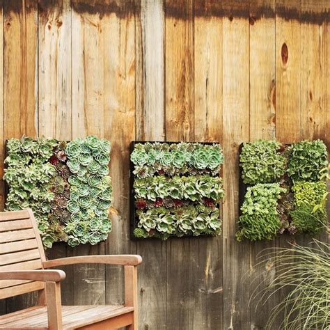 Outdoor Living Wall Planters