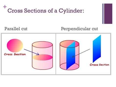 Cross Sections