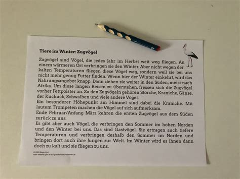 Klasse und sollen ihnen den eltern, lehrern und schülern das suchen im internet erleichtern. Sachtext Tiere Klasse 6 : Tierische Sachtexte ...