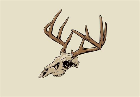 Deer Skull Vector Illustration 230138 Vector Art At Vecteezy