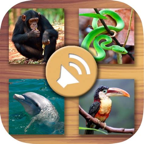 Animals Sounds For Kids Jungle Farm Marine Animals And Pets By