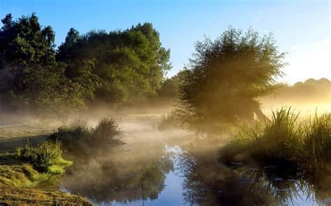 Sfondi Luce Del Sole Paesaggio Foresta Collina Lago Acqua