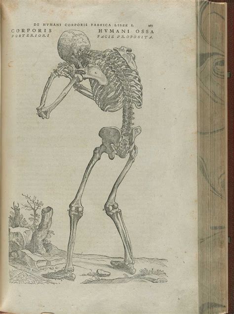 Historical Anatomies On The Web Andreas Vesalius Home
