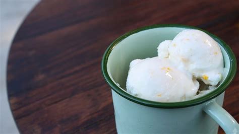 Dairy Free Coconut Milk Ice Cream Recipe FOOD MATTERS