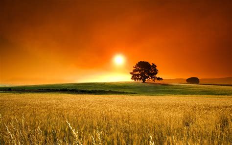 Ultra hd 4k wallpapers for desktop, laptop, apple, android mobile phones, tablets in high quality hd, 4k uhd, 5k, 8k uhd resolutions for free download. Sunset PNG HD Transparent Sunset HD.PNG Images. | PlusPNG