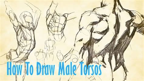 How To Draw Male Torsos Youtube