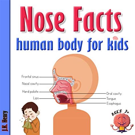 Human Body For Kids A Book About Human Body And Nose Facts For Kids