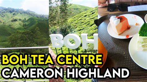 27 tempat menarik di cameron highland 2018 (panduan boh tea plantation | tea plantation in cameron highland. Cafe, Ladang Teh dan Galeri Teh Di Boh Tea Centre Cameron ...
