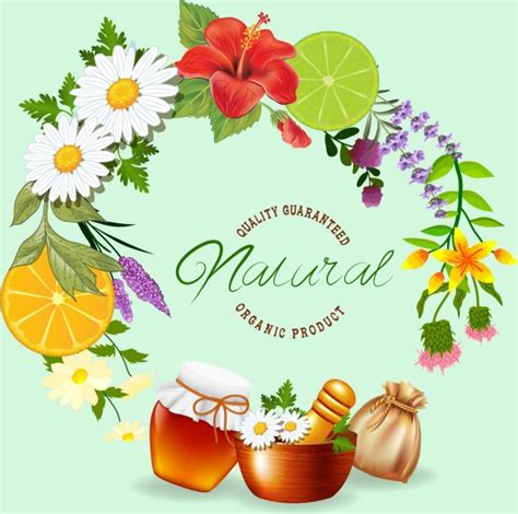 Download Herb vector free vector download (204 Free vector) for commercial use. format: ai, eps, cdr, svg ...
