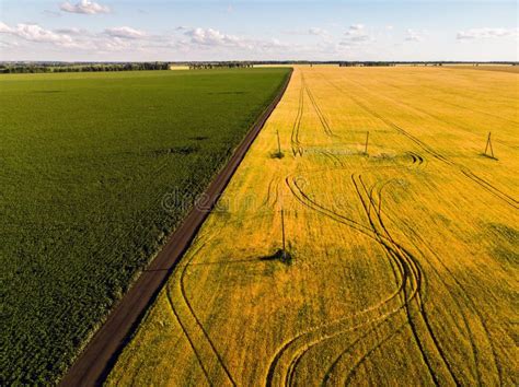 View Of Agricultural Fields From Heights In Russia Stock Image Image