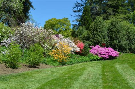 Biltmore Gardens The Happy Wonderer ~ Ellen B