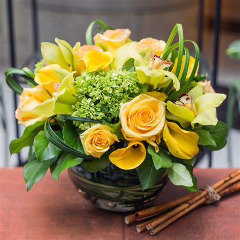 Send flowers right from our online catalog to make sure you send the right gift and / or the right bouquet to surprise someone special. Send Bright Sophistication in Boston, MA from Louis Barry ...