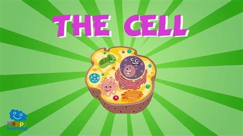The cell is the basic functional and structural unit of life. The Cell | Educational Video for Kids - YouTube