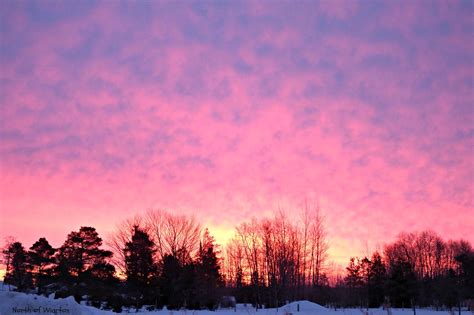Just North Of Wiarton And South Of The Checkerboard Pink Sky In The