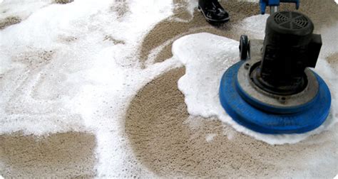 Check spelling or type a new query. Carpet Cleaning Advantages that Safeguard the Wellbeing of ...