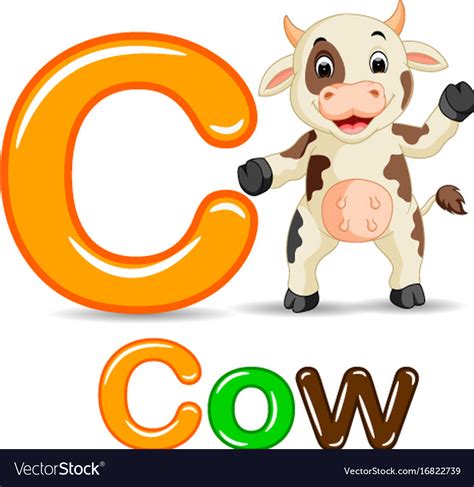 Animals alphabet c is for cow Royalty Free Vector Image