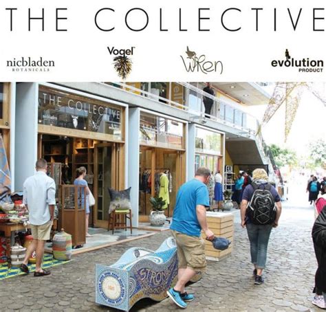 Shop The Collective The Wren Design