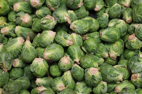 Genieten van de historische, shoppingstad brussel? Frosty Fresh: 15 Frozen Fruits and Vegetable for Your Winter Grocery Shopping List | Life The ...