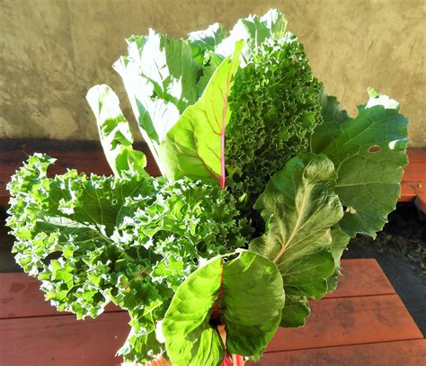 Leafy Greens Linked With Slower Age Related Cognitive Decline