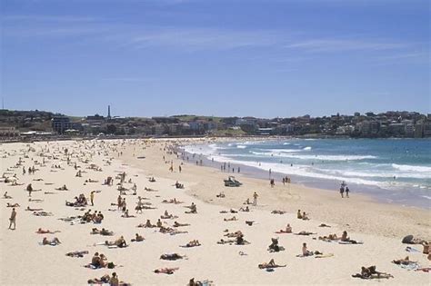 Sunbathers On Bondi Beach Sydney Available As Framed Prints Photos