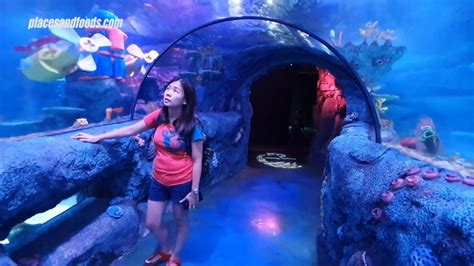 It is legoland after all, so you can expect some amazing new lego displays in the aquarium too! SEA LIFE Legoland Malaysia Review and Walkthrough | Places ...