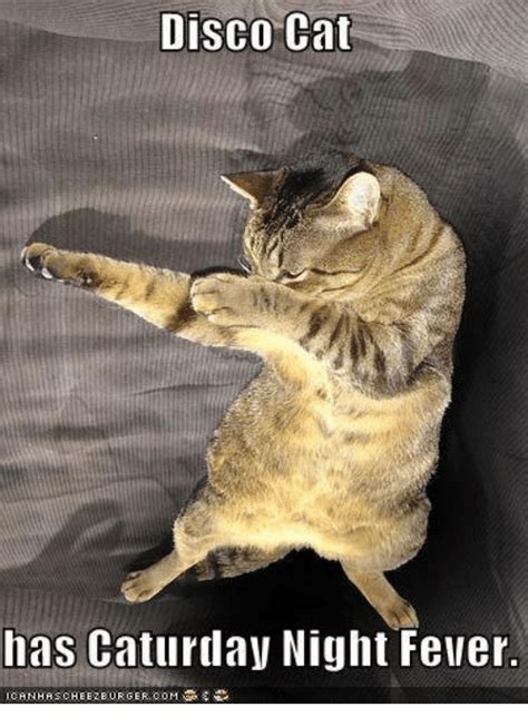 Ready for a saturday meme? Disco Cat Has Caturday Night Fever | Meme on ME.ME
